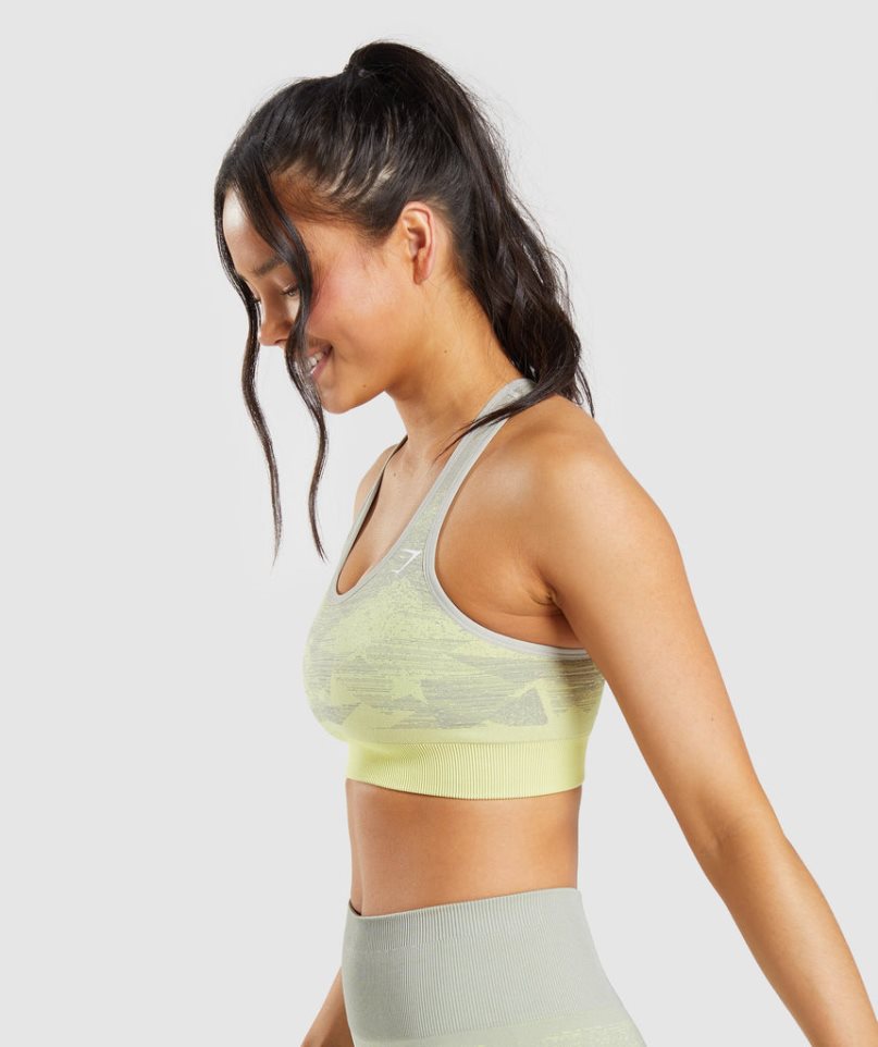 Women's Gymshark Adapt Ombre Seamless Sports Bra Grey | NZ 5NMOFZ